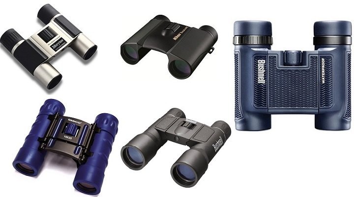 best pocket binoculars 2016